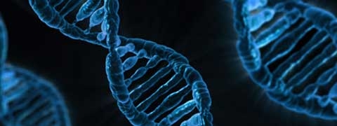 Symposium: Dochters van EVA. Wat (mt)DNA allemaal over uw afkomst kan vertellen Symposium: Dochters van EVA. Wat (mt)DNA allemaal over uw afkomst kan vertellen