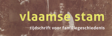 Digitale bestanden van Vlaamse Stam van 2015 tot 2019
